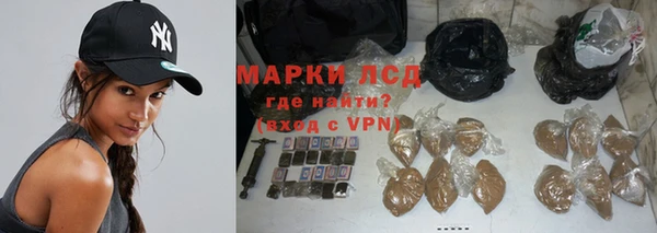 гидра Алексеевка