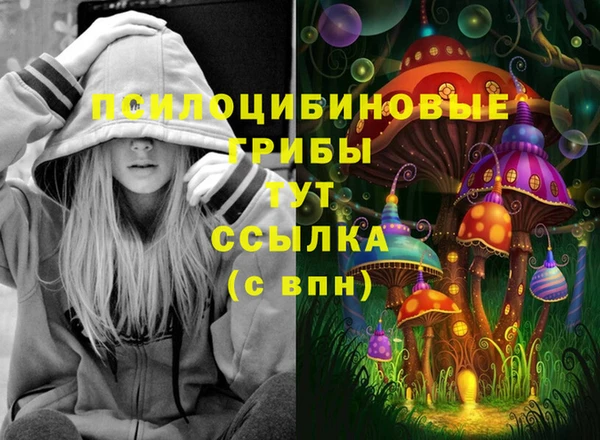 гидропоника Абдулино