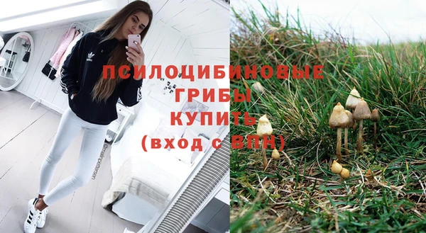 гидропоника Абдулино