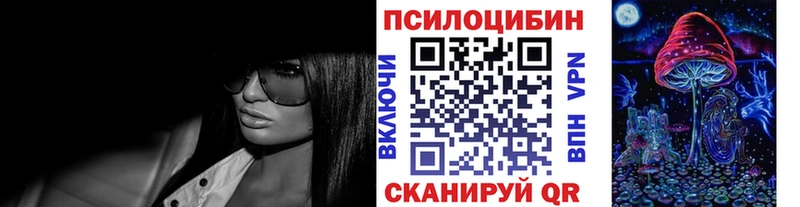 сколько стоит  Зеленодольск  нарко площадка какой сайт  Галлюциногенные грибы мухоморы 