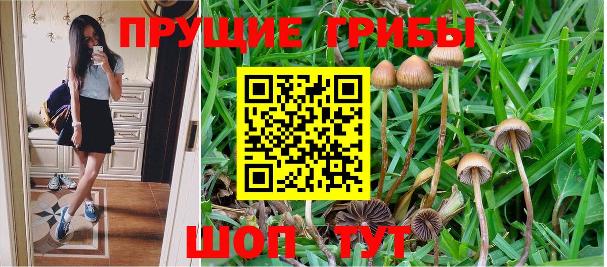 Галлюциногенные грибы Cubensis  купить закладку  Зеленодольск  Вход с VPN 
