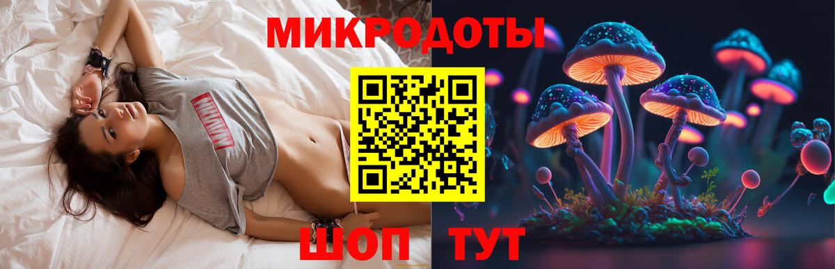 Галлюциногенные грибы Psilocybe Зеленодольск